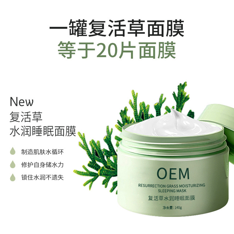 靓丽_复活草睡眠面膜OEM